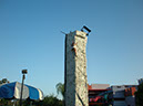 P6080054