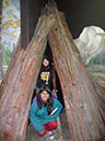 Yosemite%20(39)