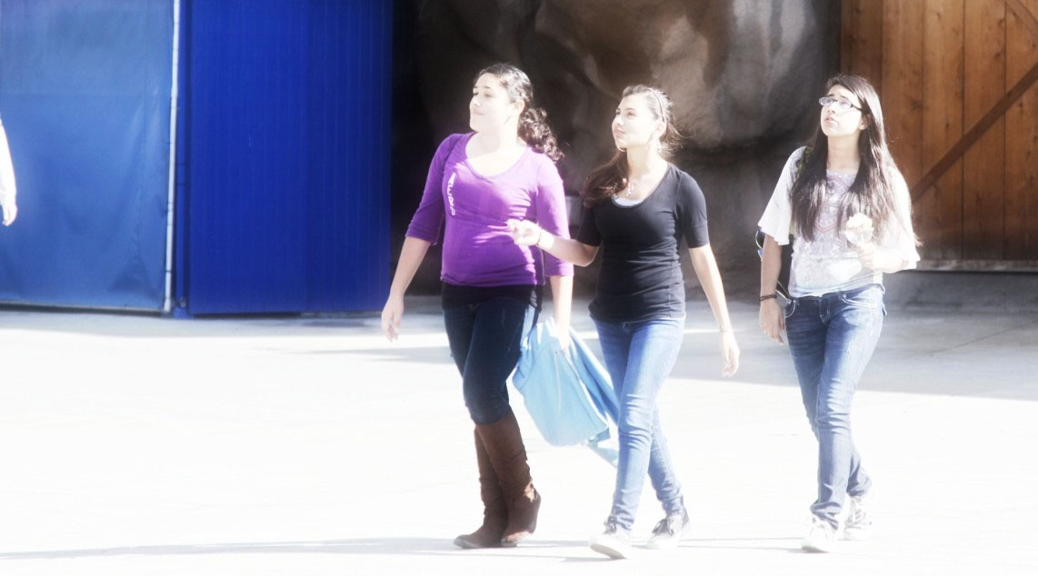 Knotts%20(13)