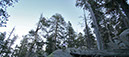 Palm_Springs%20(63)