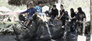 Wild_Animal_Park%20(11)