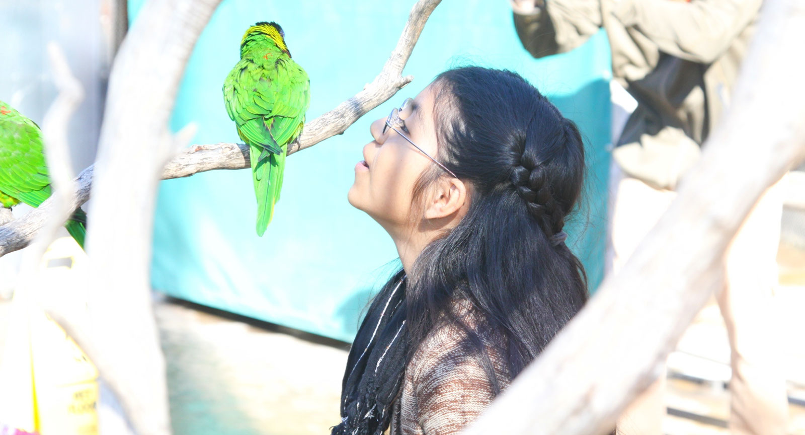 2012_Aquarium_Pier%20(10)