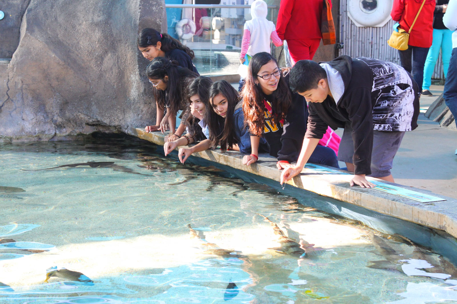 2012_Aquarium_Pier%20(13)