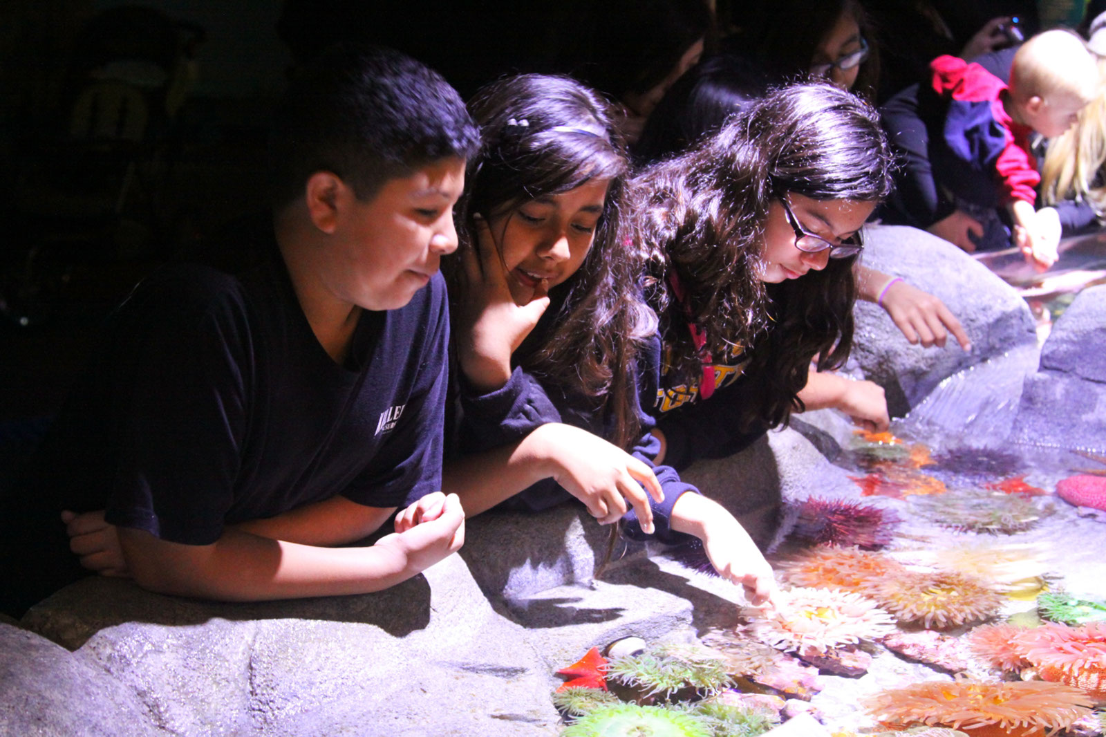2012_Aquarium_Pier%20(29)