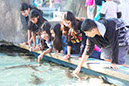 2012_Aquarium_Pier%20(12)