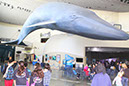 2012_Aquarium_Pier%20(3)