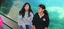 2012_Aquarium_Pier%20(6)